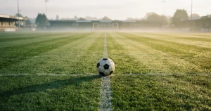 Online wedden in Nederland 2026 aanbieders, regels en kosten